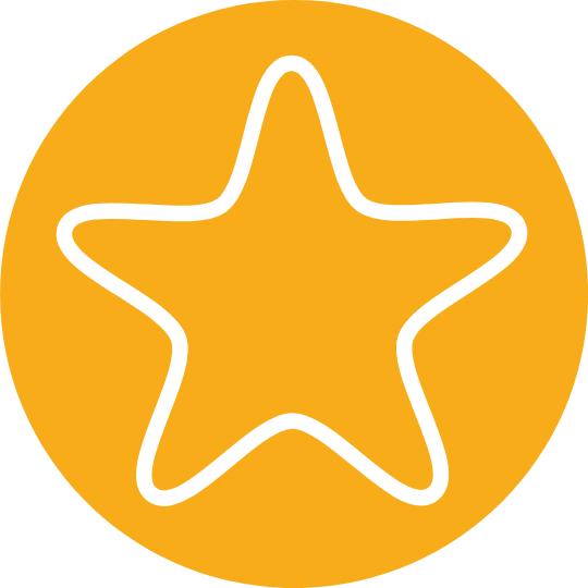 star_bullet